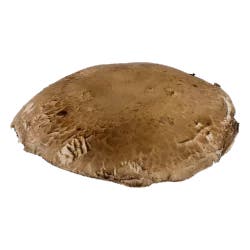 Portabello Mushrooms