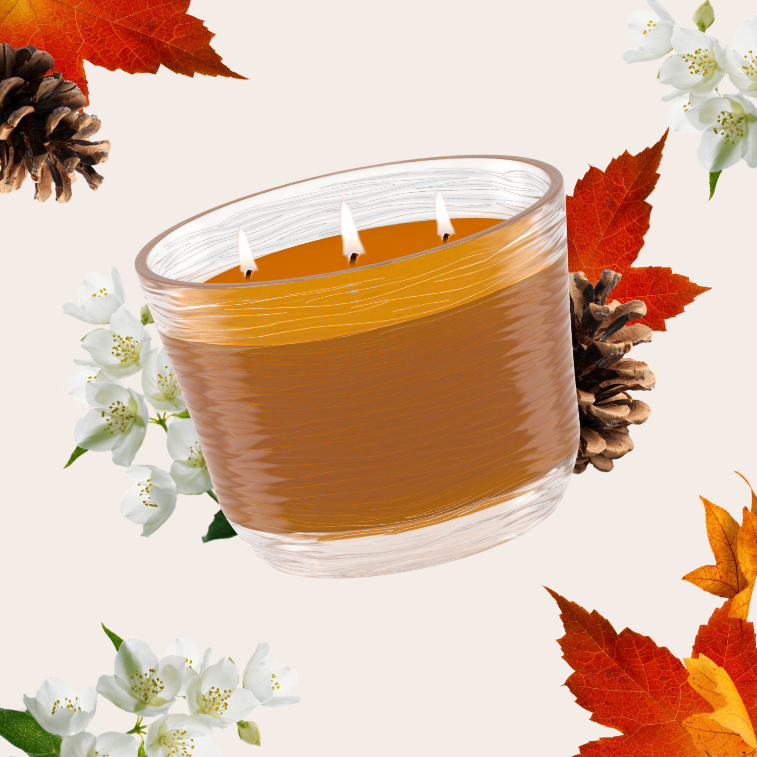 slide 7 of 8, Glade Candle Comforting Cashmere Woods Scent, 3-Wick, 6.8 oz (193 g), 1 Count, Fragrance Infused with Essential Oils, Notes of Jasmine Petals, Creamy Sandalwood, Musk, Lead-Free Wick Scented Candles, 1 ct