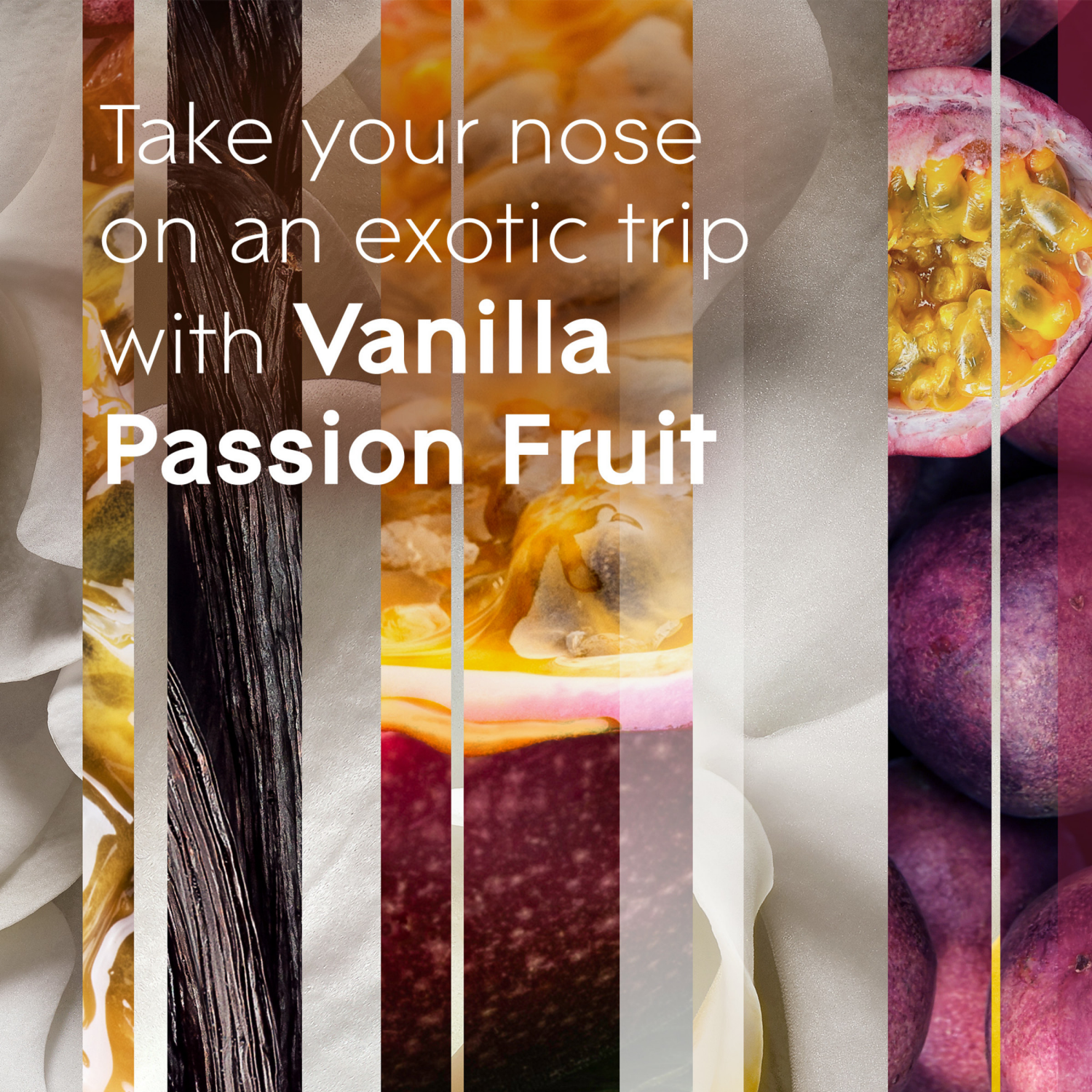 slide 5 of 8, Glade PlugIns Scented Oil Refill Vanilla Passion Fruit, Essential Oil Infused Wall Plug In, 3.35 FL OZ, Pack of 5, 5 ct