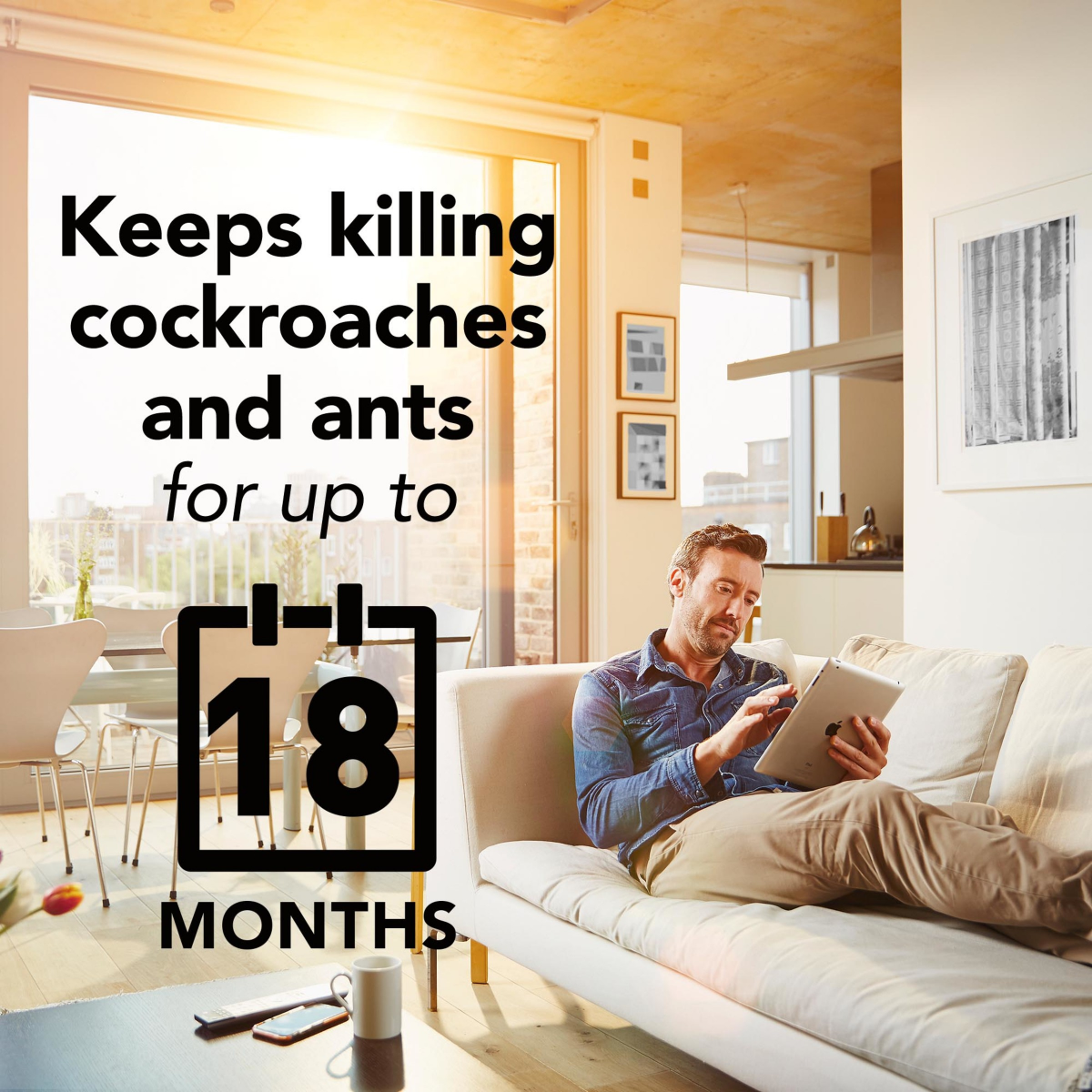 slide 7 of 8, Raid Max Perimeter Protection, Indoor & Outdoor Multi Insect Killer Spray, 30 fl oz, 30 oz