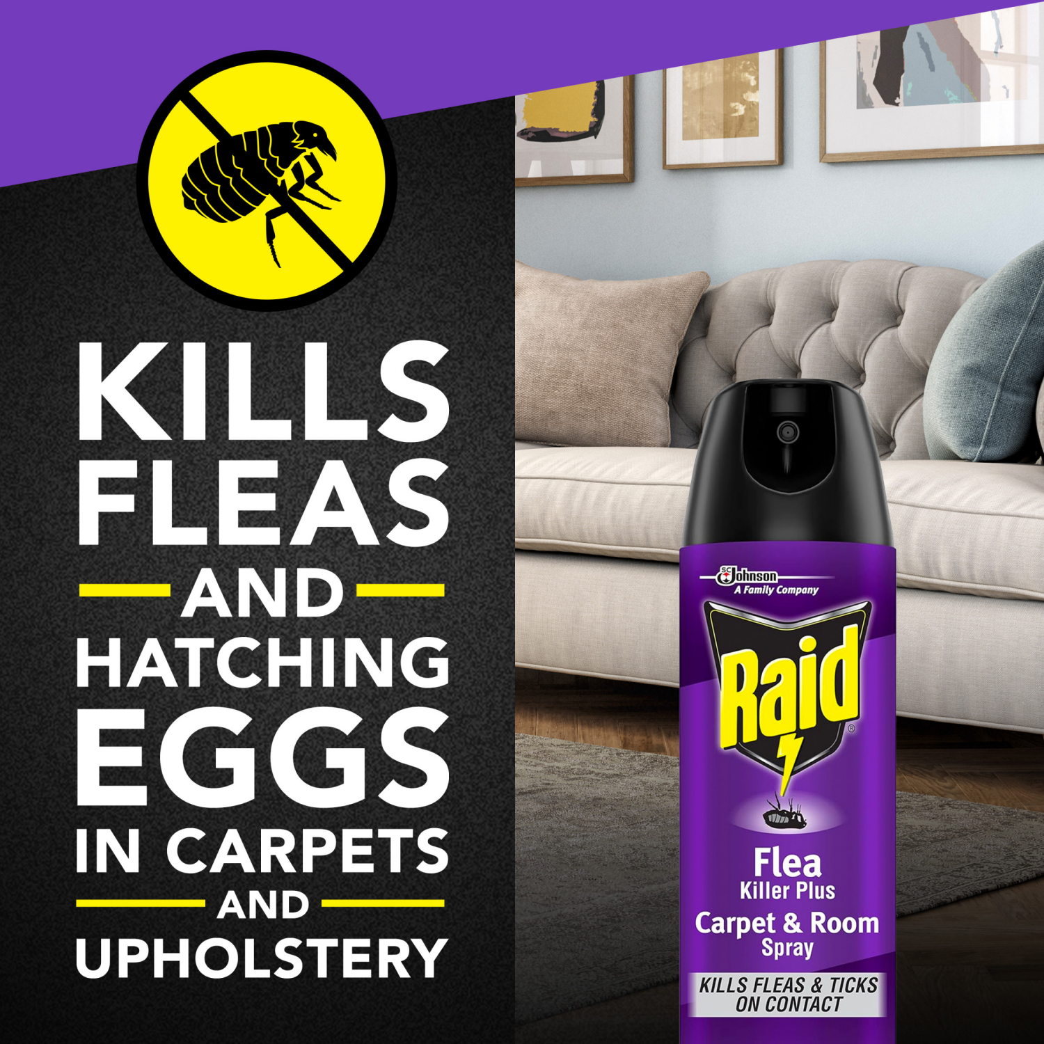 slide 4 of 8, Raid Flea Killer Plus Carpet & Room Spray Kills Fleas & Flea Eggs for Up to 4 Weeks, 16 oz, 16 oz