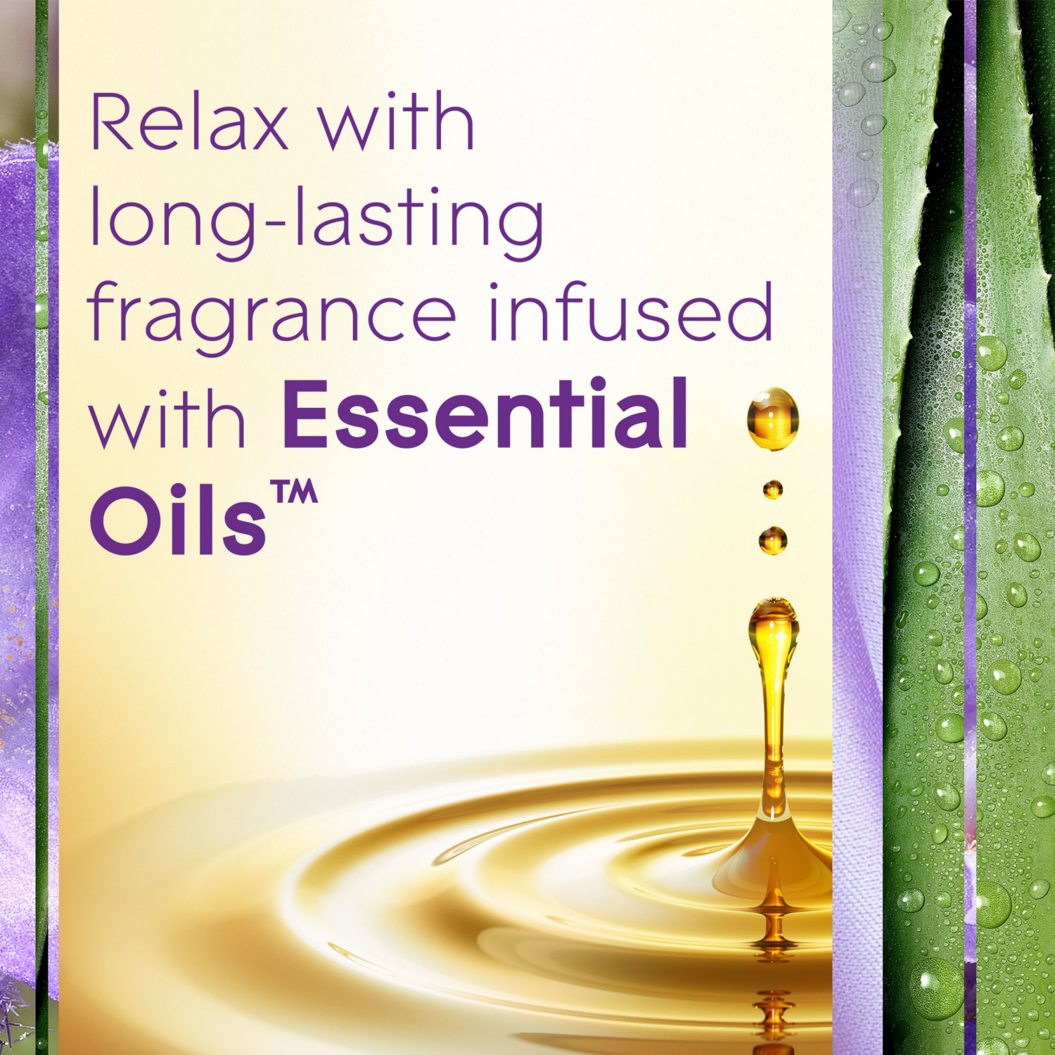slide 6 of 7, Glade PlugIns Refills Tranquil Lavender & Aloe Scented Oil 5 - 0.67 fl oz (19.8 ml) Refills, 5 ct