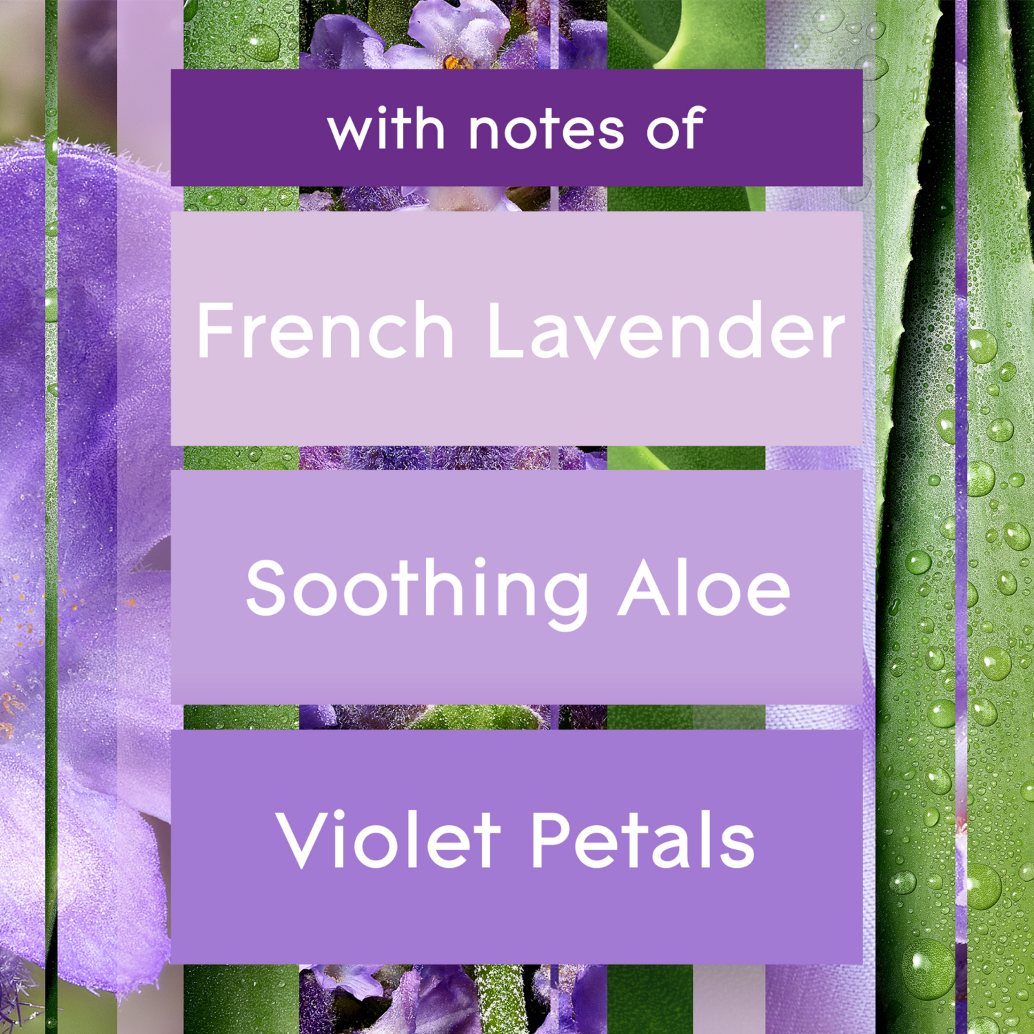 slide 7 of 7, Glade PlugIns Refills Tranquil Lavender & Aloe Scented Oil 5 - 0.67 fl oz (19.8 ml) Refills, 5 ct
