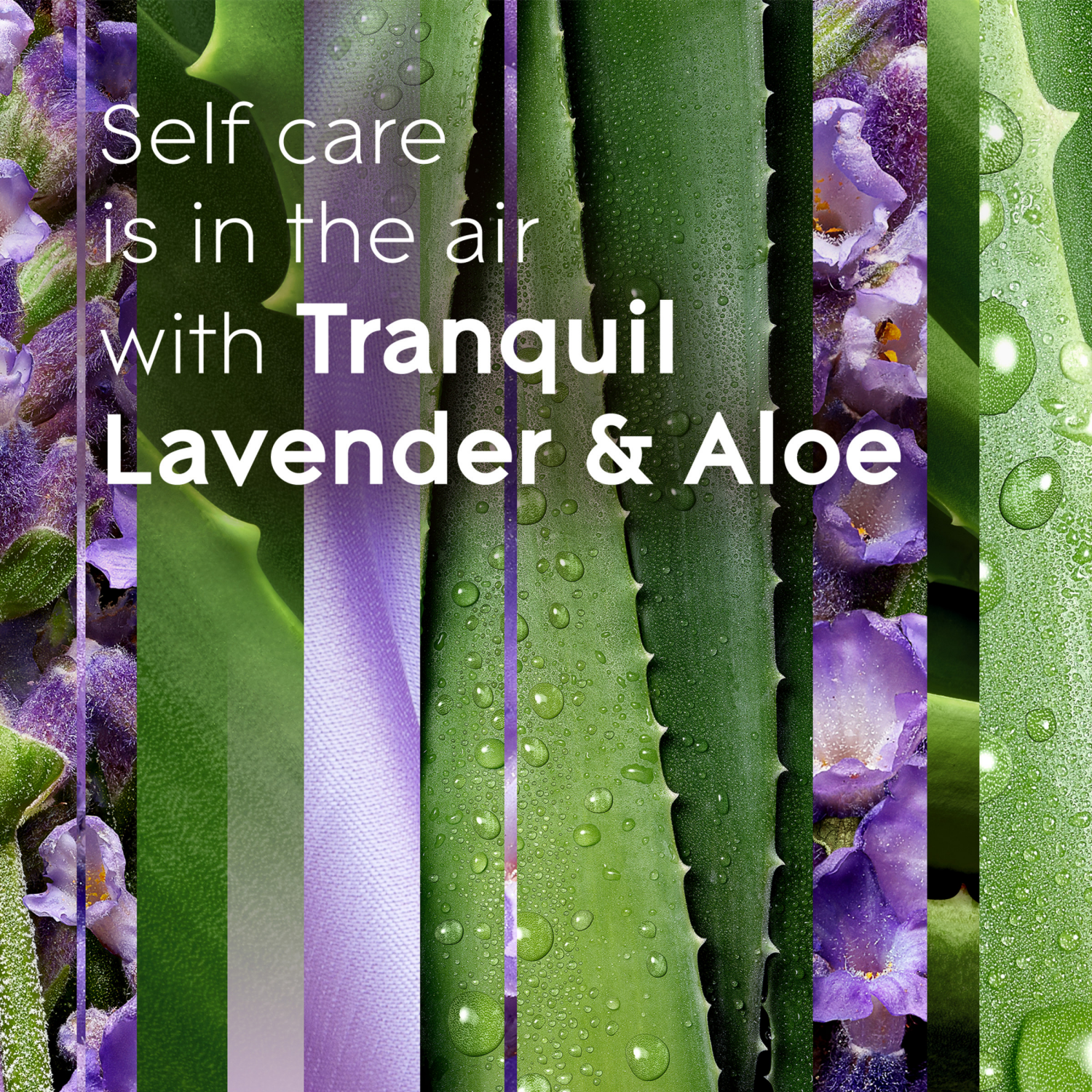 slide 3 of 5, Glade PlugIns Tranquil Lavender & Aloe Scented Oil Warmer 1 ea, 1 ct