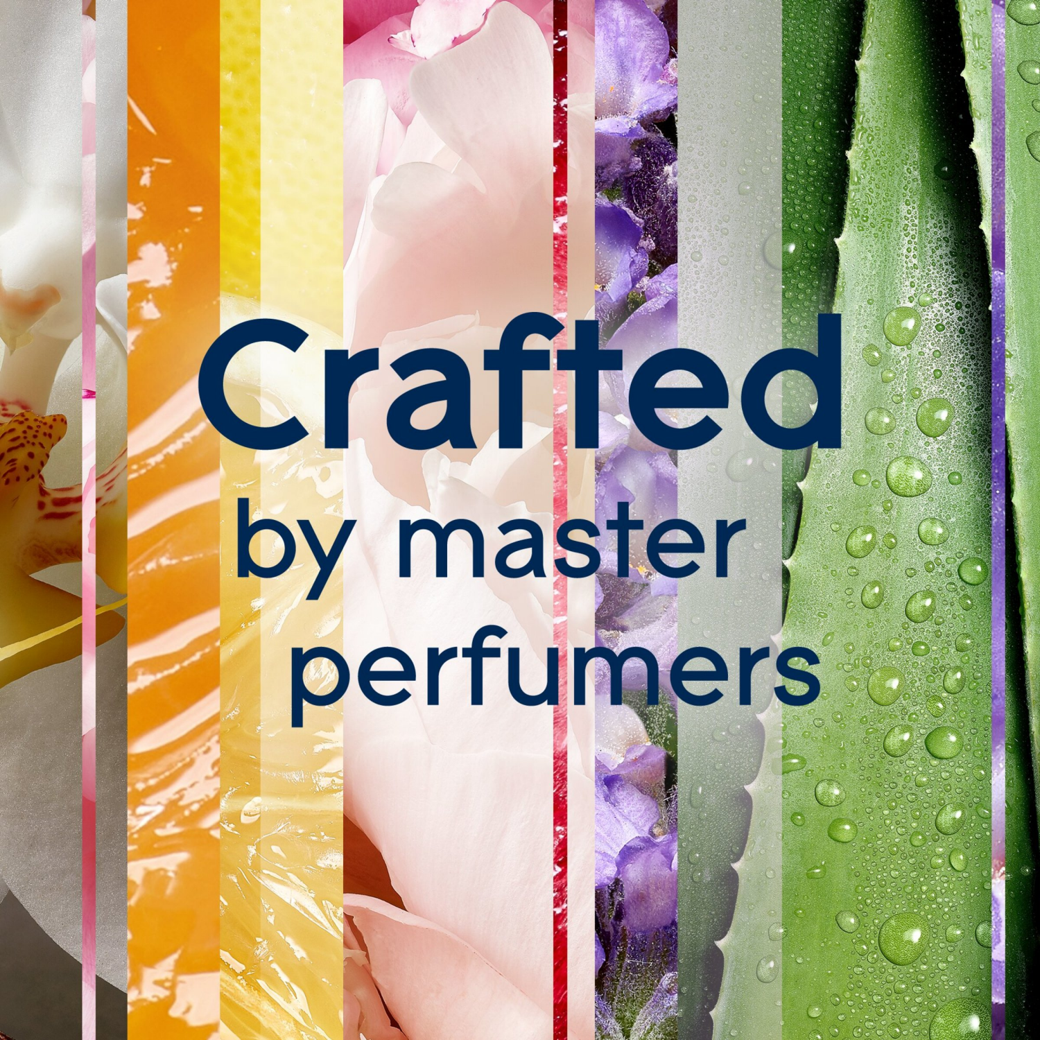 slide 4 of 5, Glade PlugIns Exotic Tropical Blossoms Scented Oil Refills 2 - 0.67 fl oz Refills, 2 ct