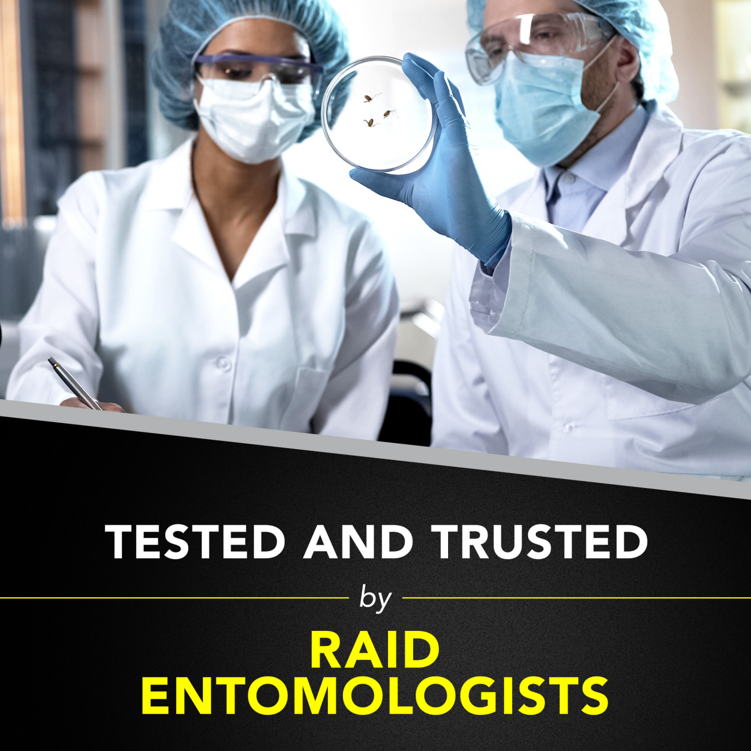 slide 7 of 8, Raid Wasp and Hornet Spray, 17.5 Ounce, 17.5 oz