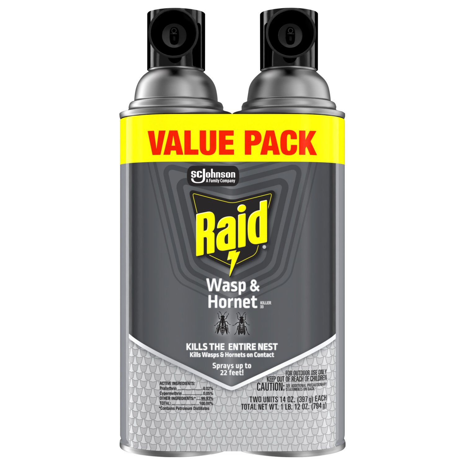 slide 1 of 8, Raid Wasp and Hornet Spray, 17.5 Ounce, 17.5 oz