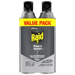 Raid Wasp and Hornet Spray, 17.5 Ounce