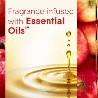 slide 5 of 29, Glade Scented Oil Jar Candle, Apple Cinnamon, Wax Infused With Essential Oils, 6.8 oz