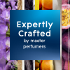 slide 4 of 29, Glade Scented Oil Jar Candle, Apple Cinnamon, Wax Infused With Essential Oils, 6.8 oz