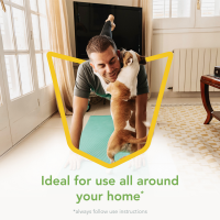 slide 4 of 29, Raid Essentials Ant, Spider & Roach Killer Aerosol - Indoor Insect Killer - 10oz, 10 oz