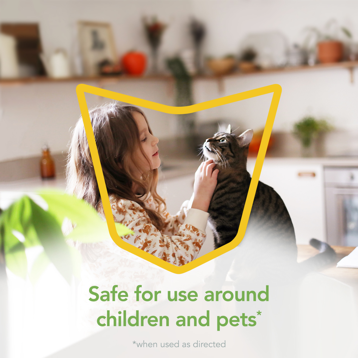 slide 29 of 29, Raid Essentials Ant, Spider & Roach Killer Aerosol - Indoor Insect Killer - 10oz, 10 oz