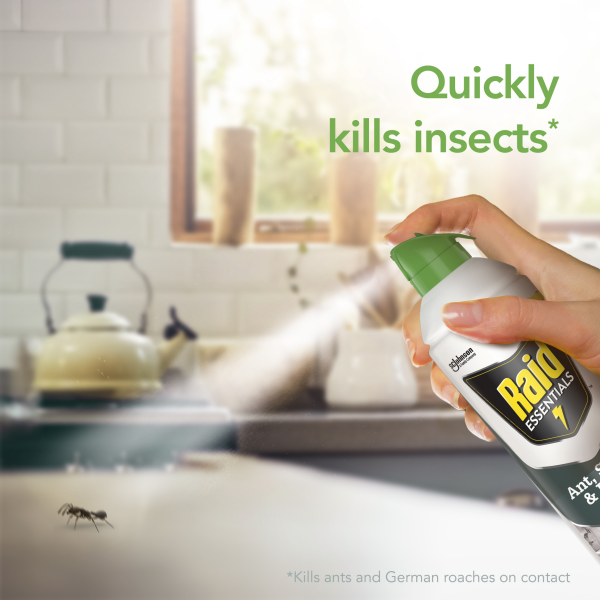 slide 26 of 29, Raid Essentials Ant, Spider & Roach Killer Aerosol - Indoor Insect Killer - 10oz, 10 oz
