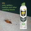 slide 20 of 29, Raid Essentials Ant, Spider & Roach Killer Aerosol - Indoor Insect Killer - 10oz, 10 oz