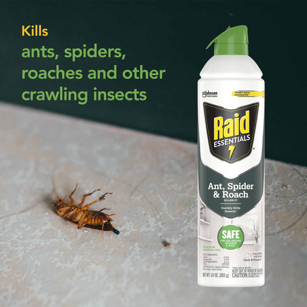 slide 21 of 29, Raid Essentials Ant, Spider & Roach Killer Aerosol - Indoor Insect Killer - 10oz, 10 oz