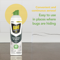 slide 2 of 29, Raid Essentials Ant, Spider & Roach Killer Aerosol - Indoor Insect Killer - 10oz, 10 oz