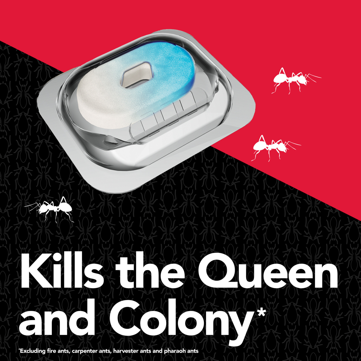 slide 5 of 8, Raid Liquid Ant Bait Stations, Pre-filled Queen & Ant Colony Killer for Home, 8 Count, 8 ct