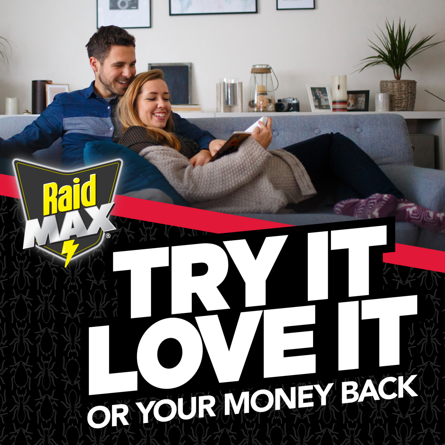 slide 7 of 8, Raid Liquid Ant Bait Stations, Pre-filled Queen & Ant Colony Killer for Home, 8 Count, 8 ct