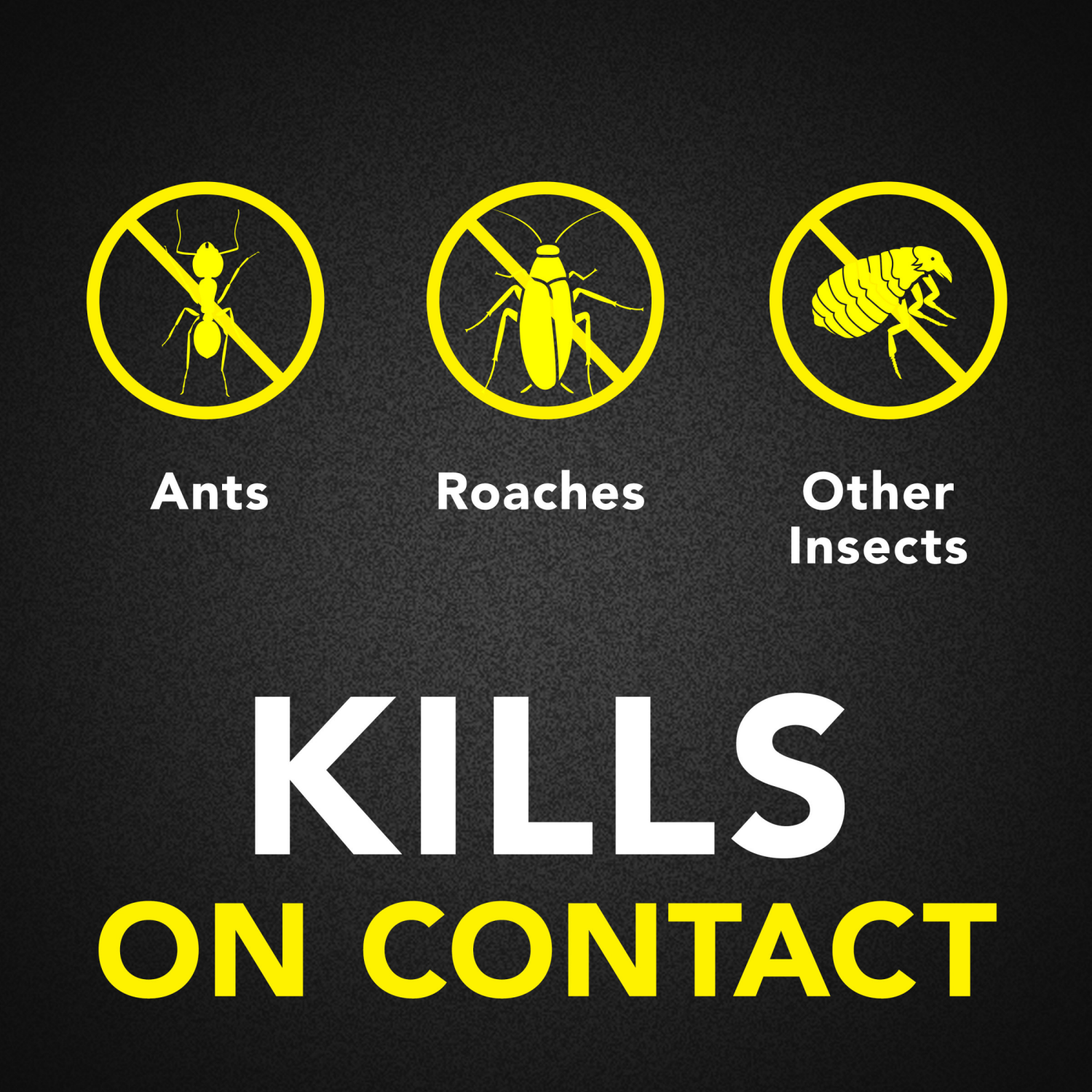 slide 4 of 8, Raid Value Size Outdoor Defend Fresh Scent Ant & Roach Killer 20 oz, 20 oz
