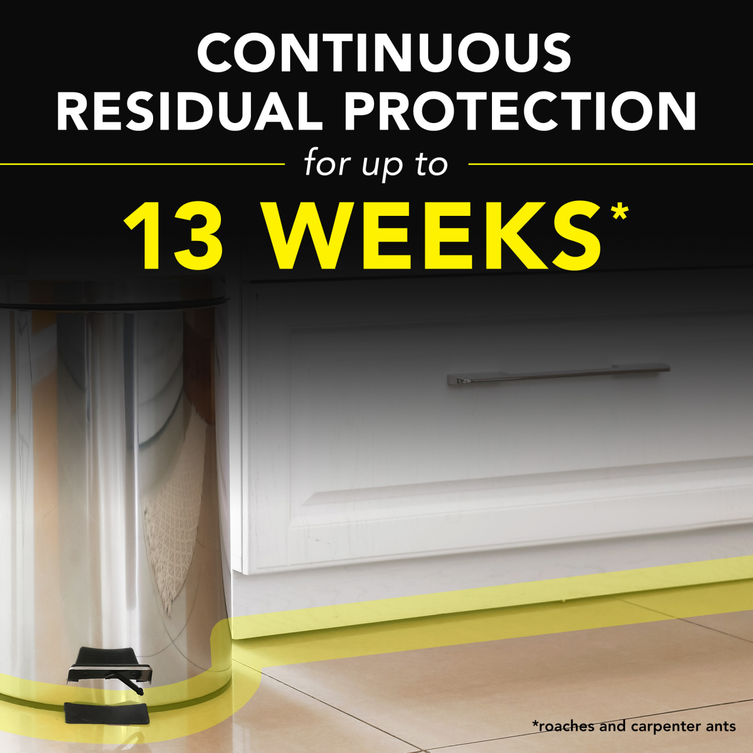 slide 5 of 8, Raid Value Size Outdoor Defend Fresh Scent Ant & Roach Killer 20 oz, 20 oz