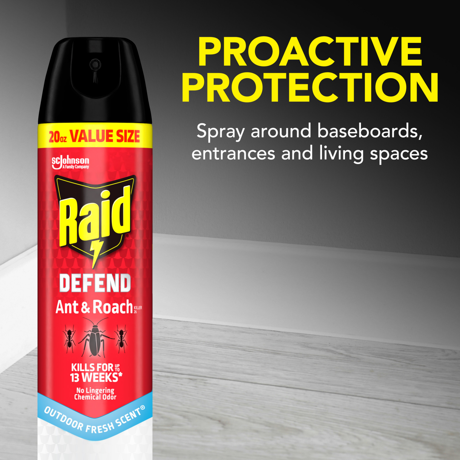 slide 8 of 8, Raid Value Size Outdoor Defend Fresh Scent Ant & Roach Killer 20 oz, 20 oz