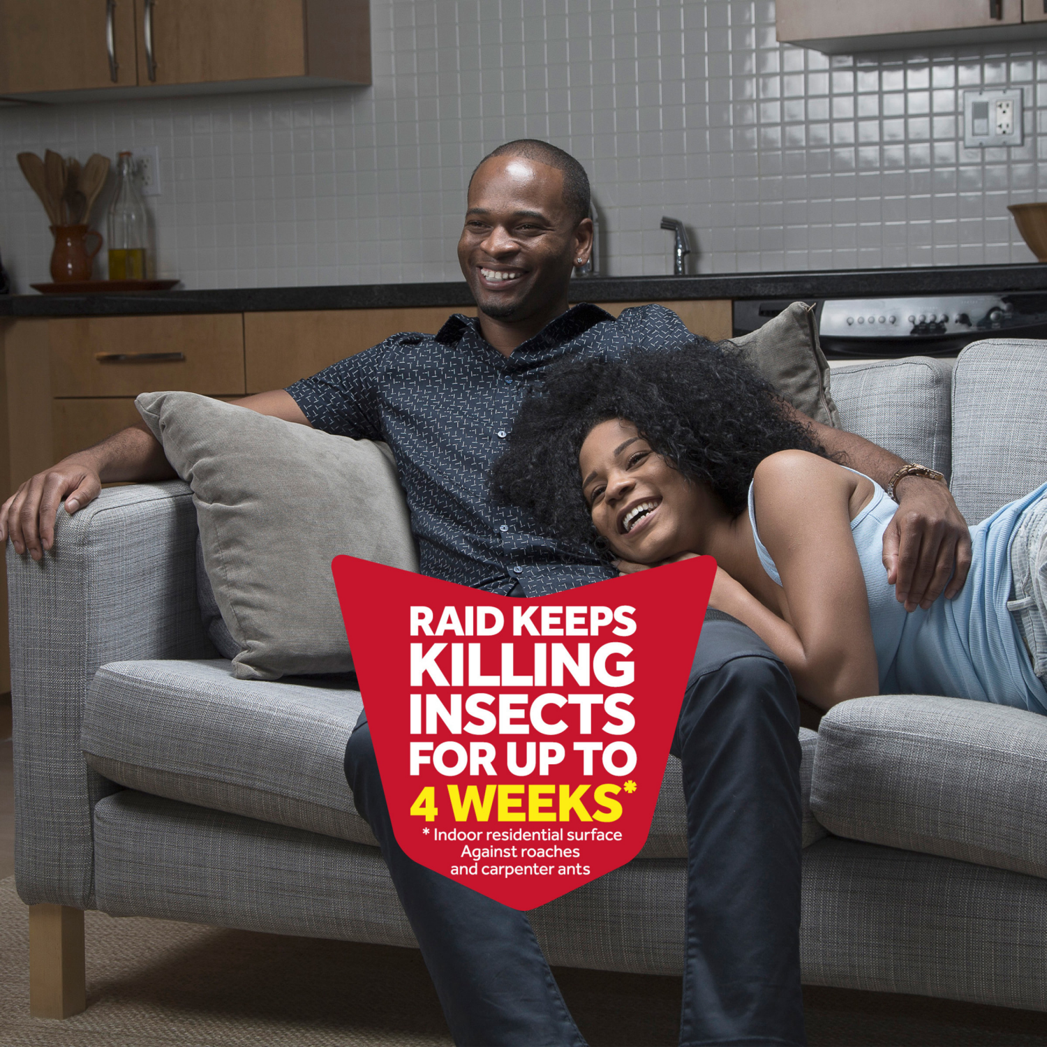 slide 3 of 8, Raid Defend Lemon Scent Ant & Roach Killer 20 oz, 20 oz