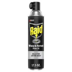 Raid Defend Wasp & Hornet Killer, Stinging Bug Insecticide for Outdoor Use, 17.5 oz
