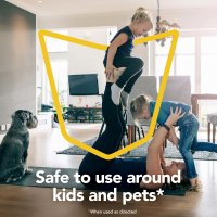 slide 15 of 29, Raid Essentials Fly, Gnat & Mosquito Killer 28, In & Outdoor Flying Insect Spray, 10 oz, 10 oz