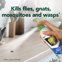 slide 23 of 29, Raid Essentials Fly, Gnat & Mosquito Killer 28, In & Outdoor Flying Insect Spray, 10 oz, 10 oz