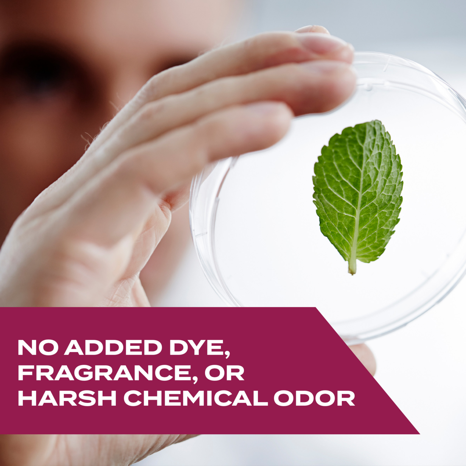 slide 3 of 8, STEM Kills Ants, Roaches & Flies, Plant-based Active Ingredient Insecticide, 12 fl oz, 12 fl oz