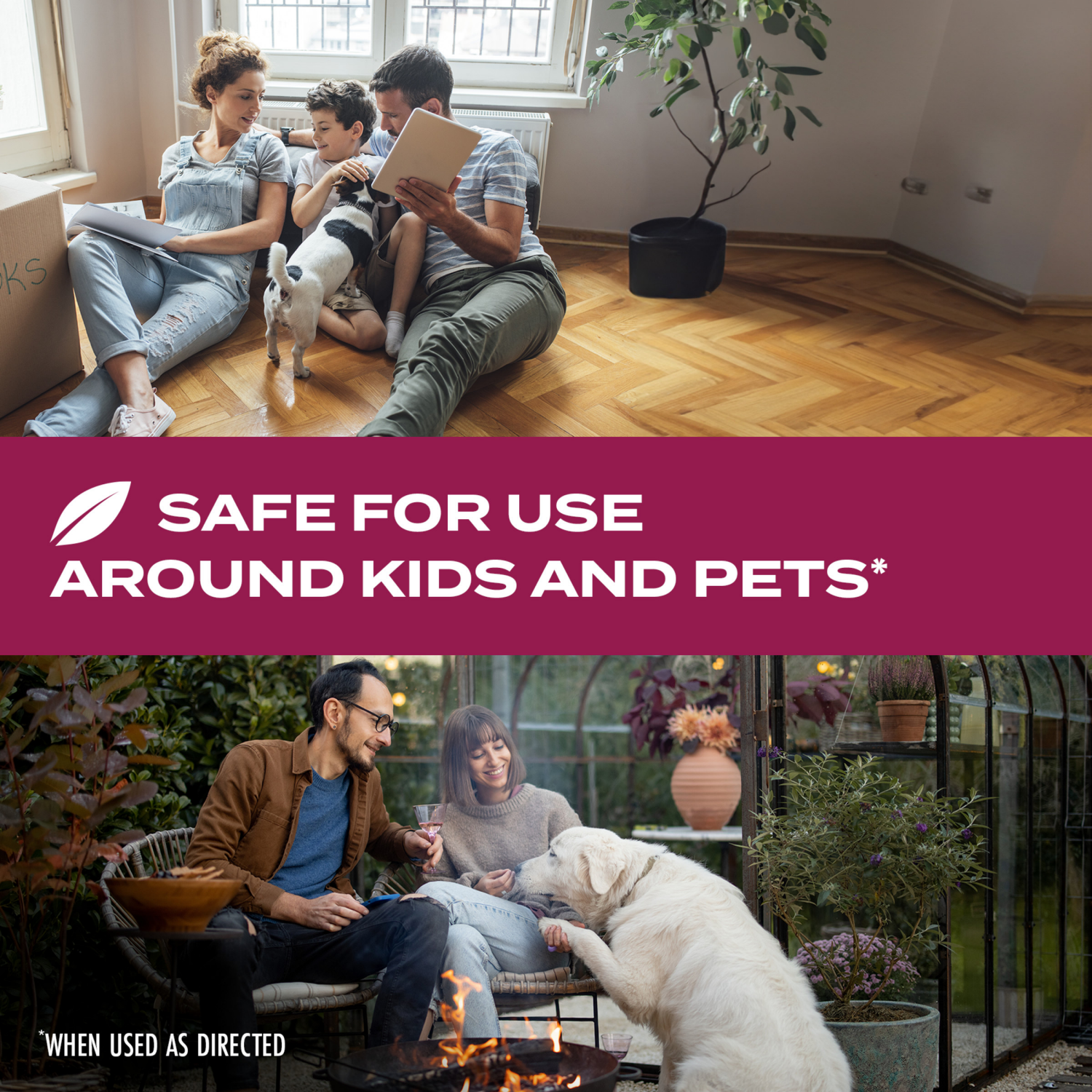 slide 5 of 8, STEM Kills Ants, Roaches & Flies, Plant-based Active Ingredient Insecticide, 12 fl oz, 12 fl oz