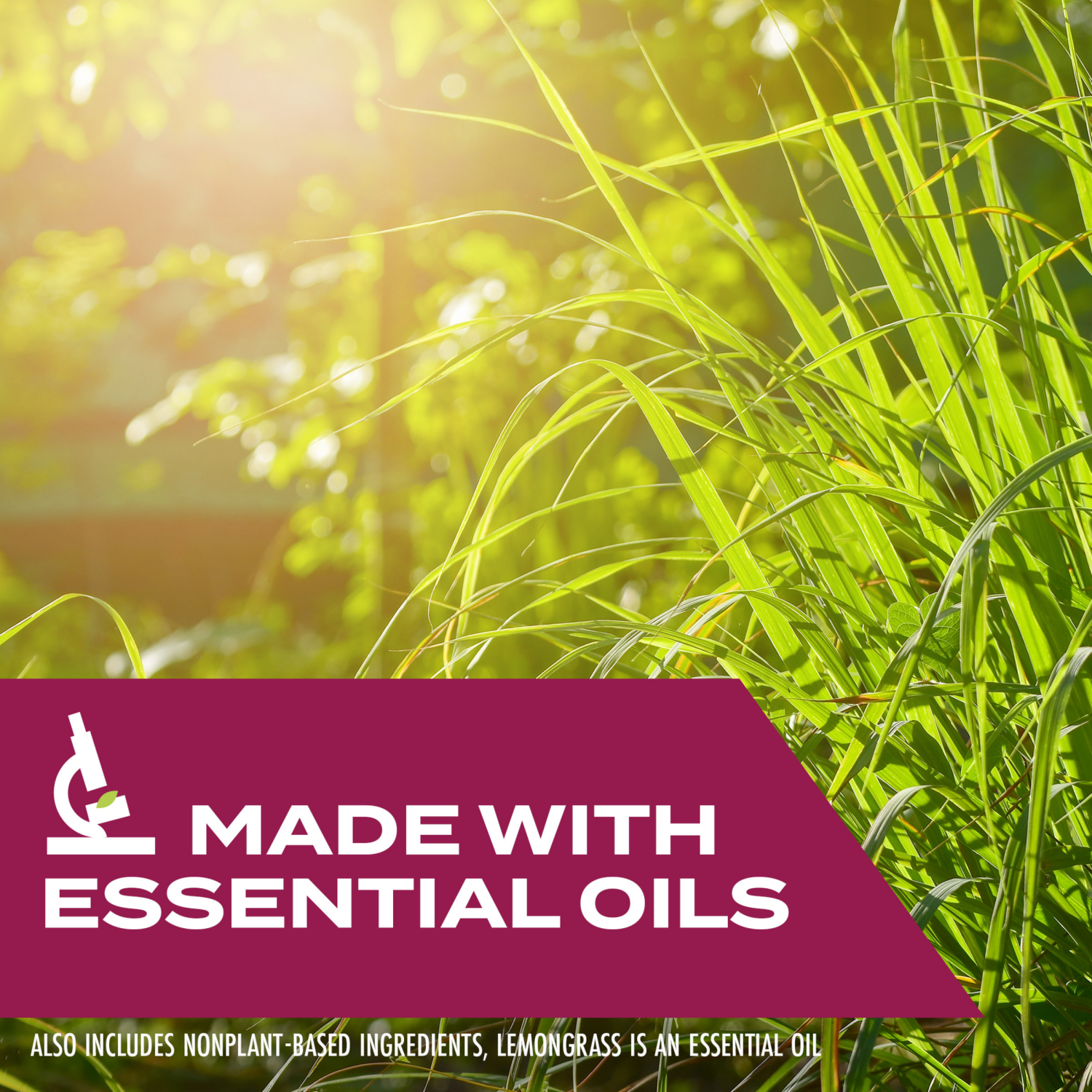 slide 6 of 8, STEM Kills Ants, Roaches & Flies, Plant-based Active Ingredient Insecticide, 12 fl oz, 12 fl oz