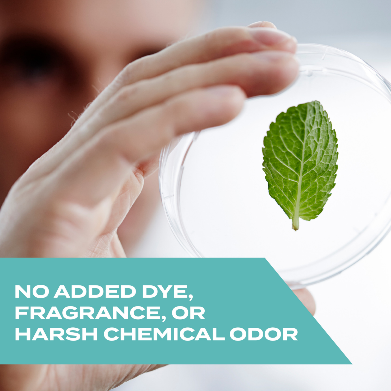 slide 3 of 8, STEM Kills Flies, Mosquitoes & Gnats, Plant-based Active Ingredient Insect Killer, 10 oz, 10 oz