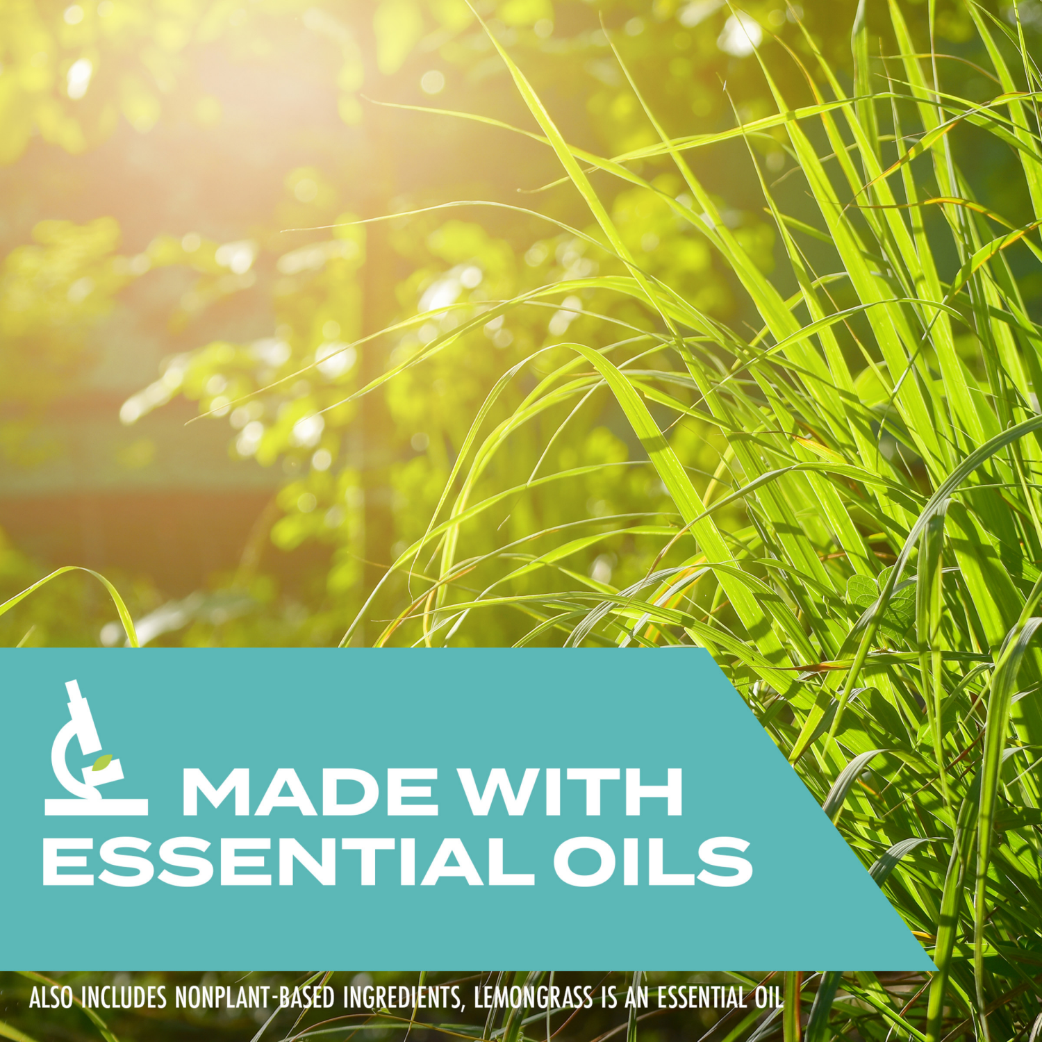 slide 6 of 8, STEM Kills Flies, Mosquitoes & Gnats, Plant-based Active Ingredient Insect Killer, 10 oz, 10 oz