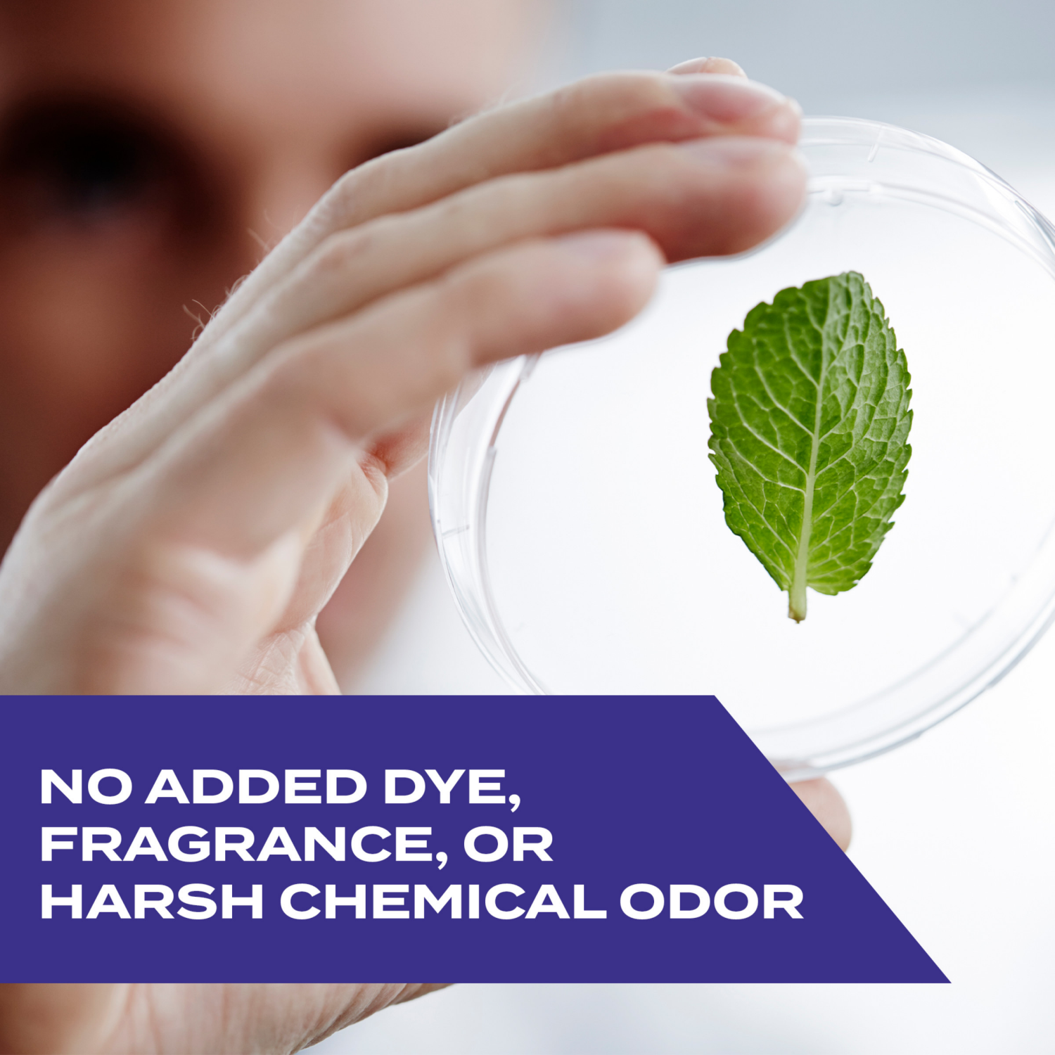 slide 3 of 8, Stem Ants, Roaches, Spiders Insect Killer 10 oz, 10 oz