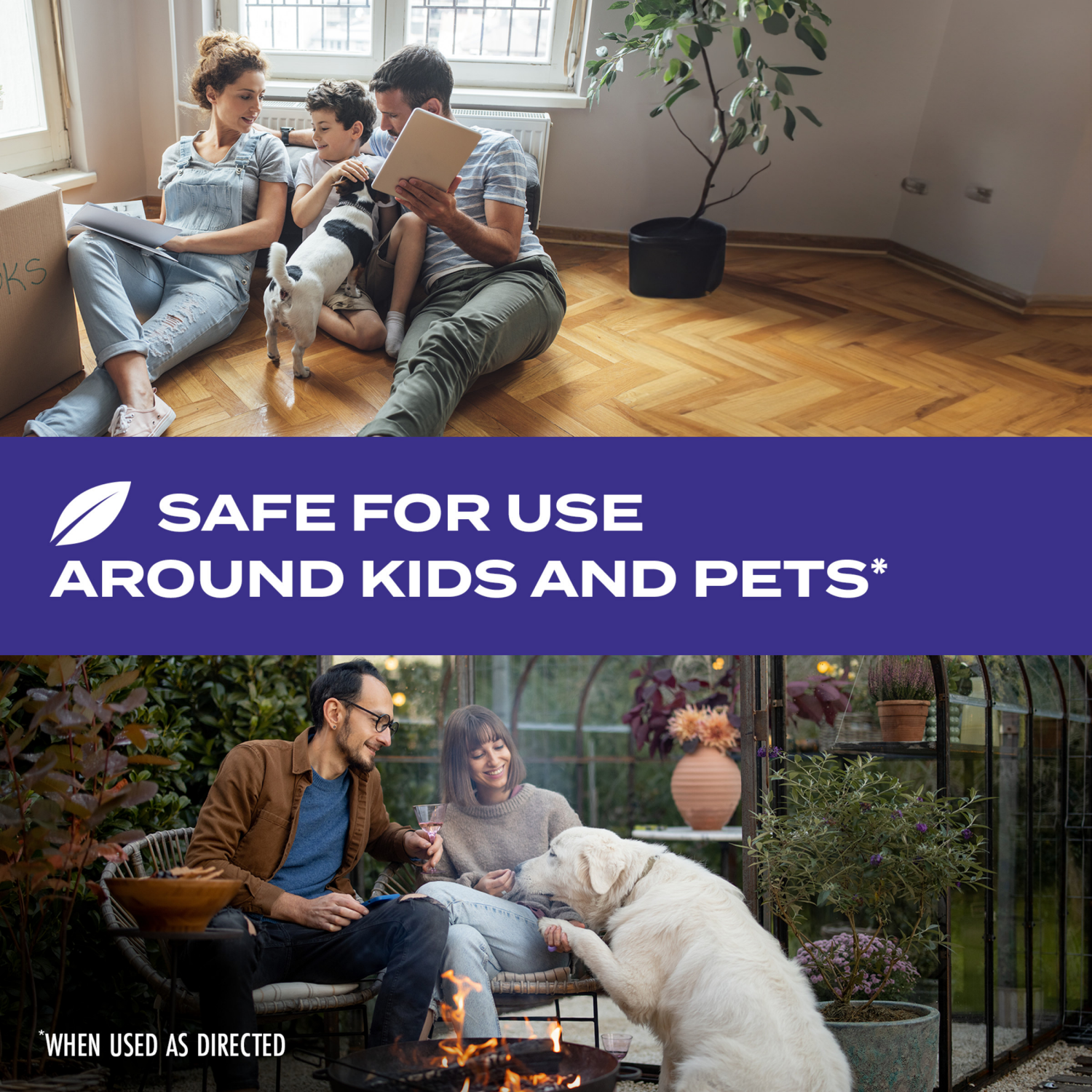 slide 5 of 8, Stem Ants, Roaches, Spiders Insect Killer 10 oz, 10 oz