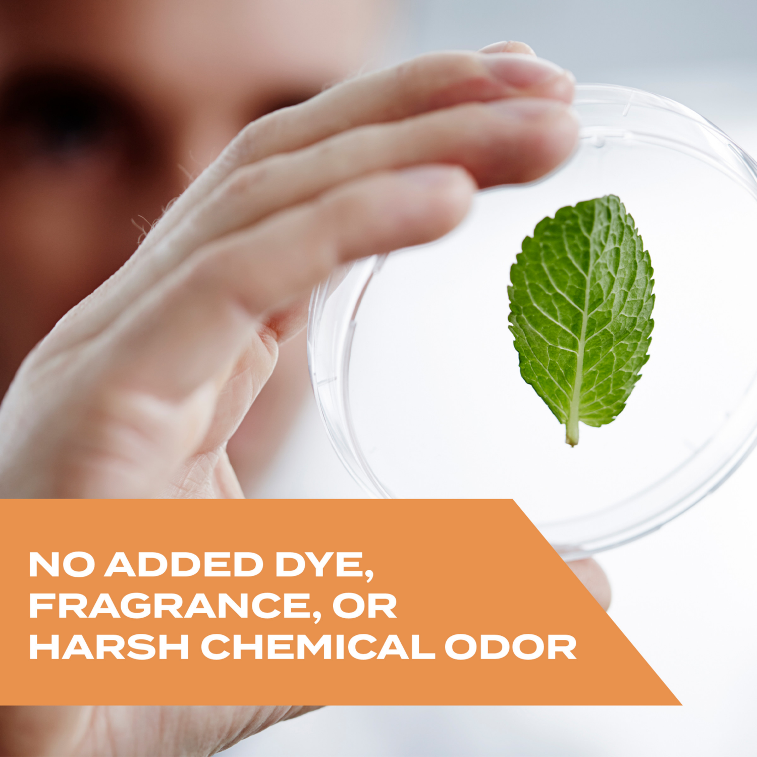 slide 3 of 8, STEM Wasp, Hornet & Yellow Jacket Killer, Plant-based Active Ingredient Wasp Spray, 10 oz, 10 oz