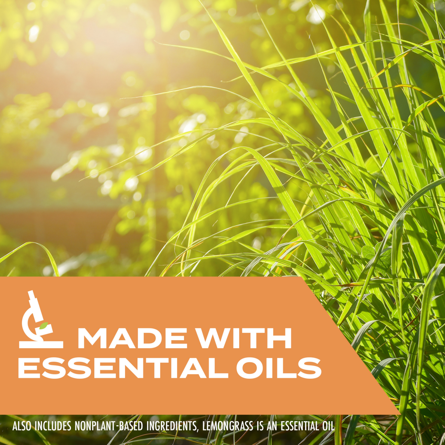 slide 6 of 8, STEM Wasp, Hornet & Yellow Jacket Killer, Plant-based Active Ingredient Wasp Spray, 10 oz, 10 oz