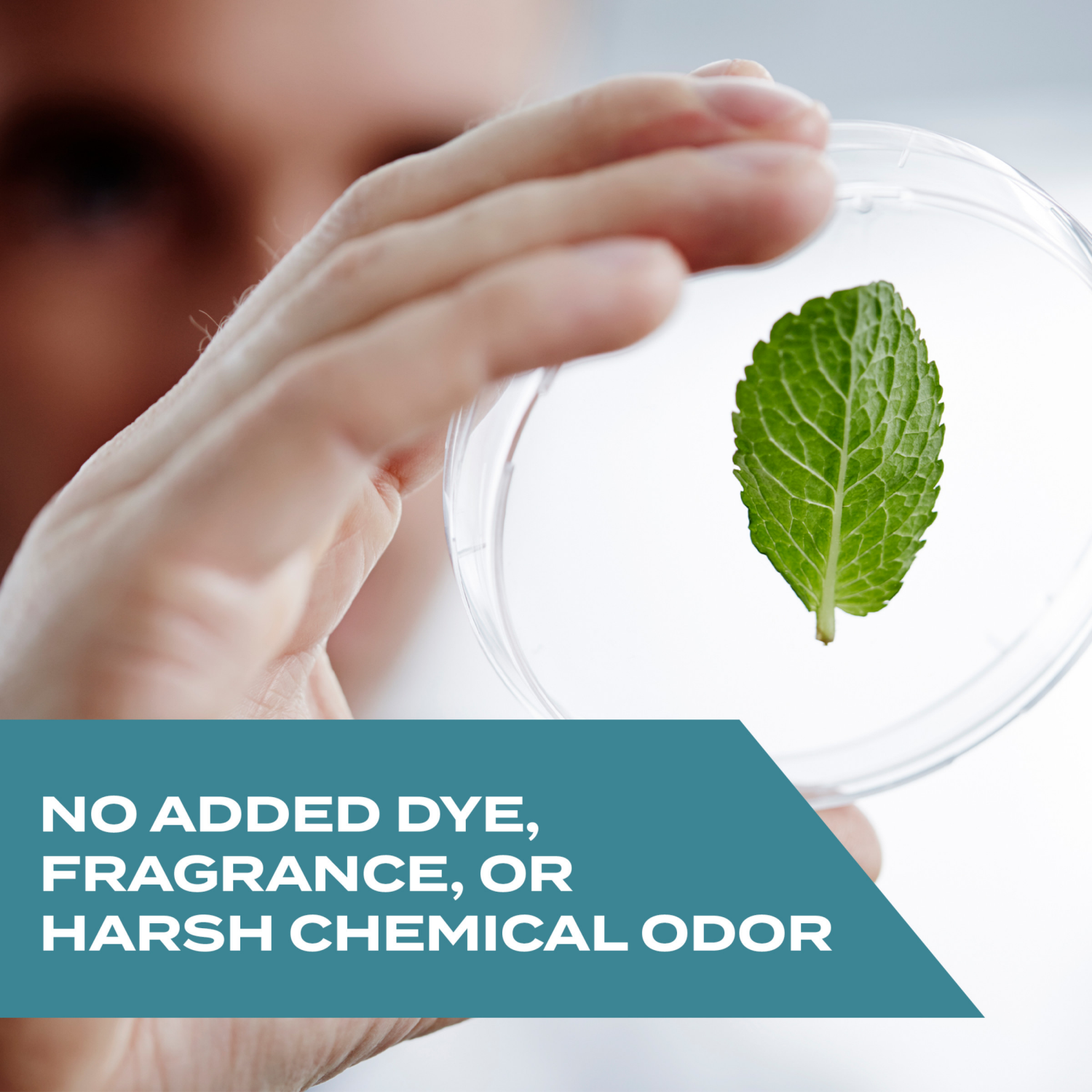 slide 3 of 8, Stem Fruit Fly Trap 5.4 fl oz, 5.4 oz