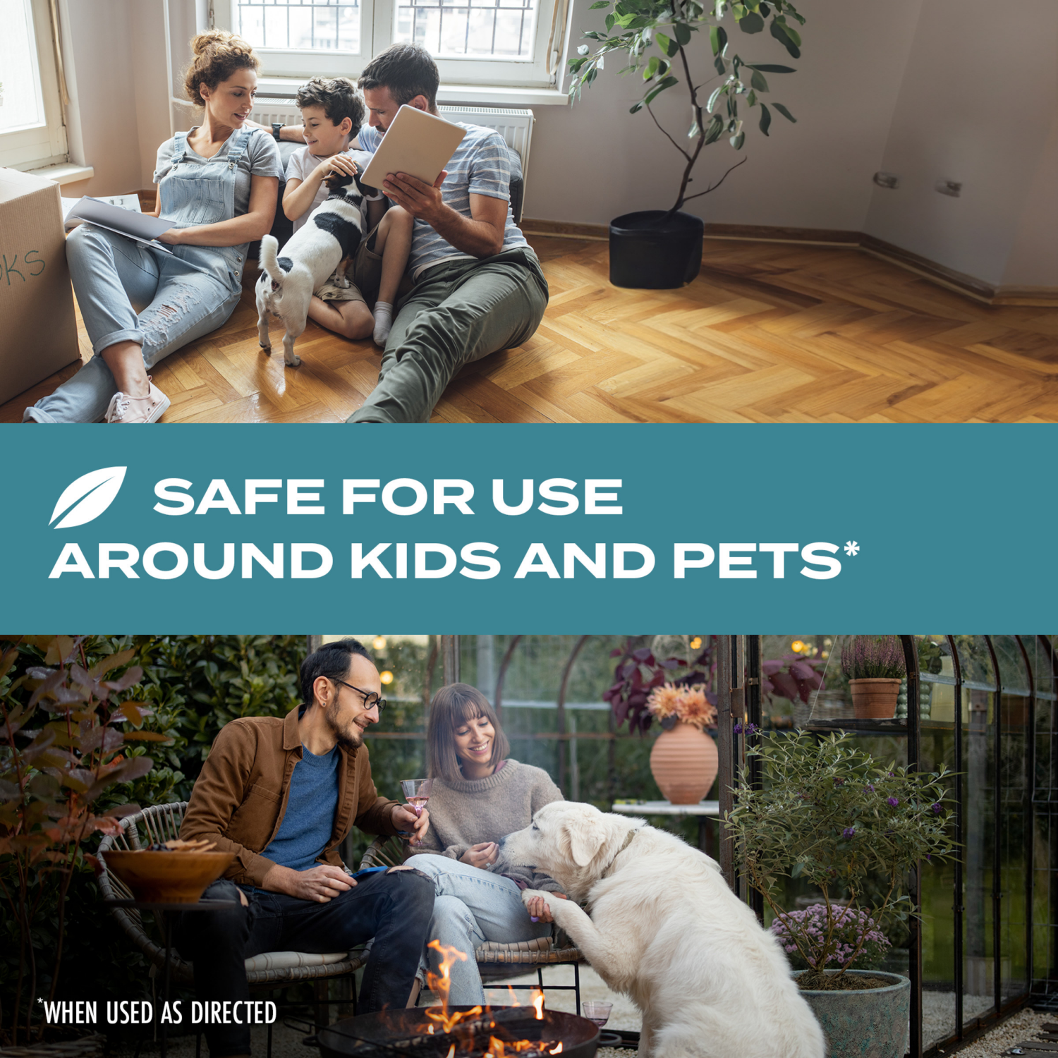 slide 5 of 8, Stem Fruit Fly Trap 5.4 fl oz, 5.4 oz