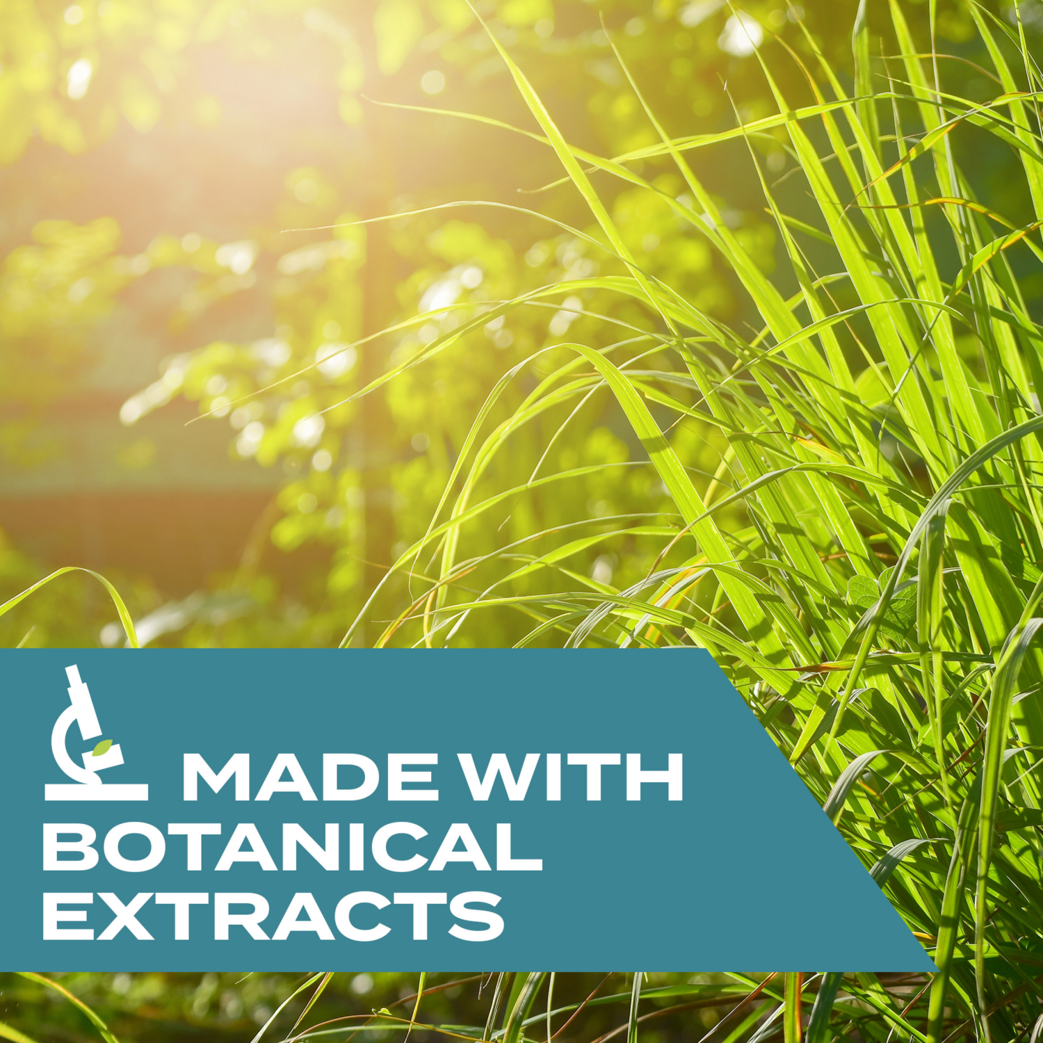 slide 6 of 8, Stem Fruit Fly Trap 5.4 fl oz, 5.4 oz