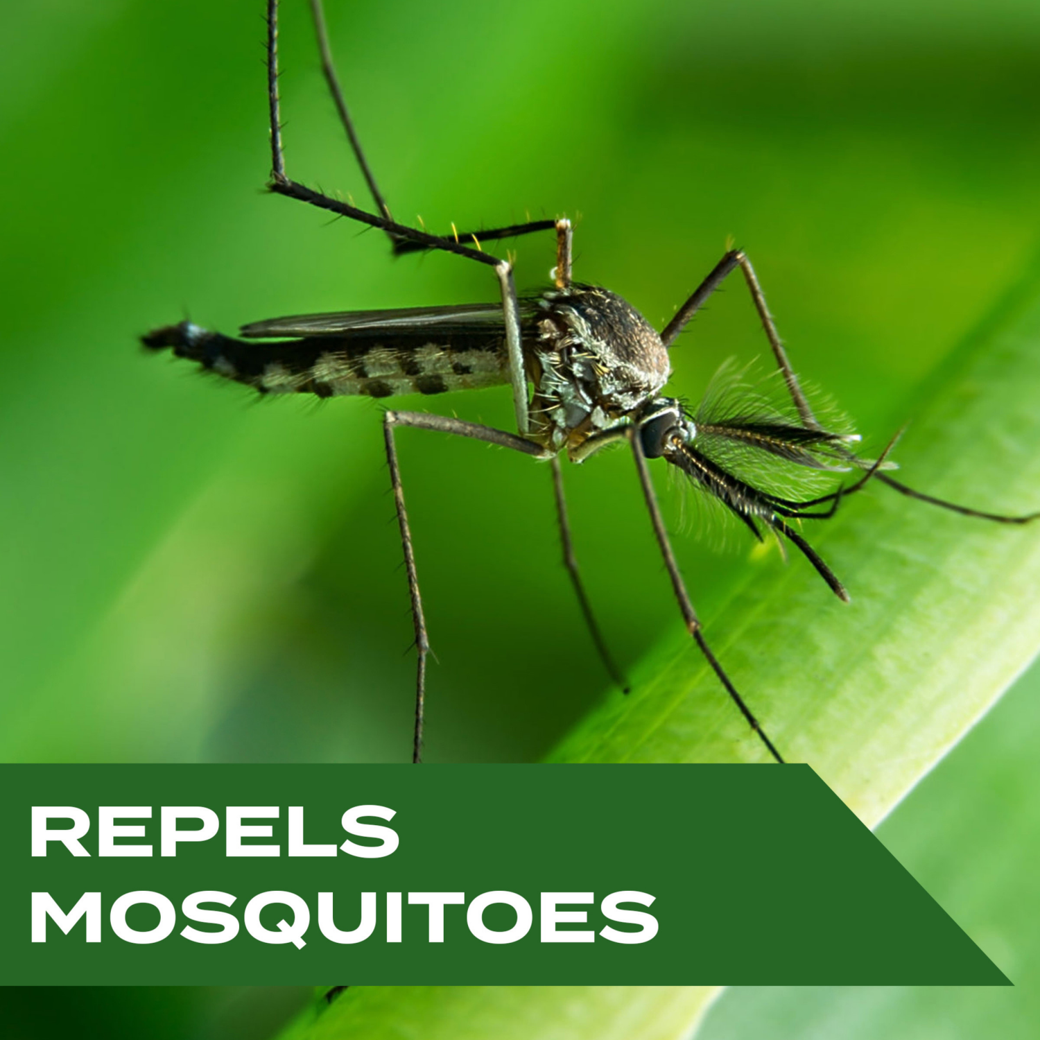 slide 4 of 8, STEM Repels Mosquitoes: Mosquito Repellent Spray with Botanical Extracts; 4 fl. oz. 1 pc, 4 oz