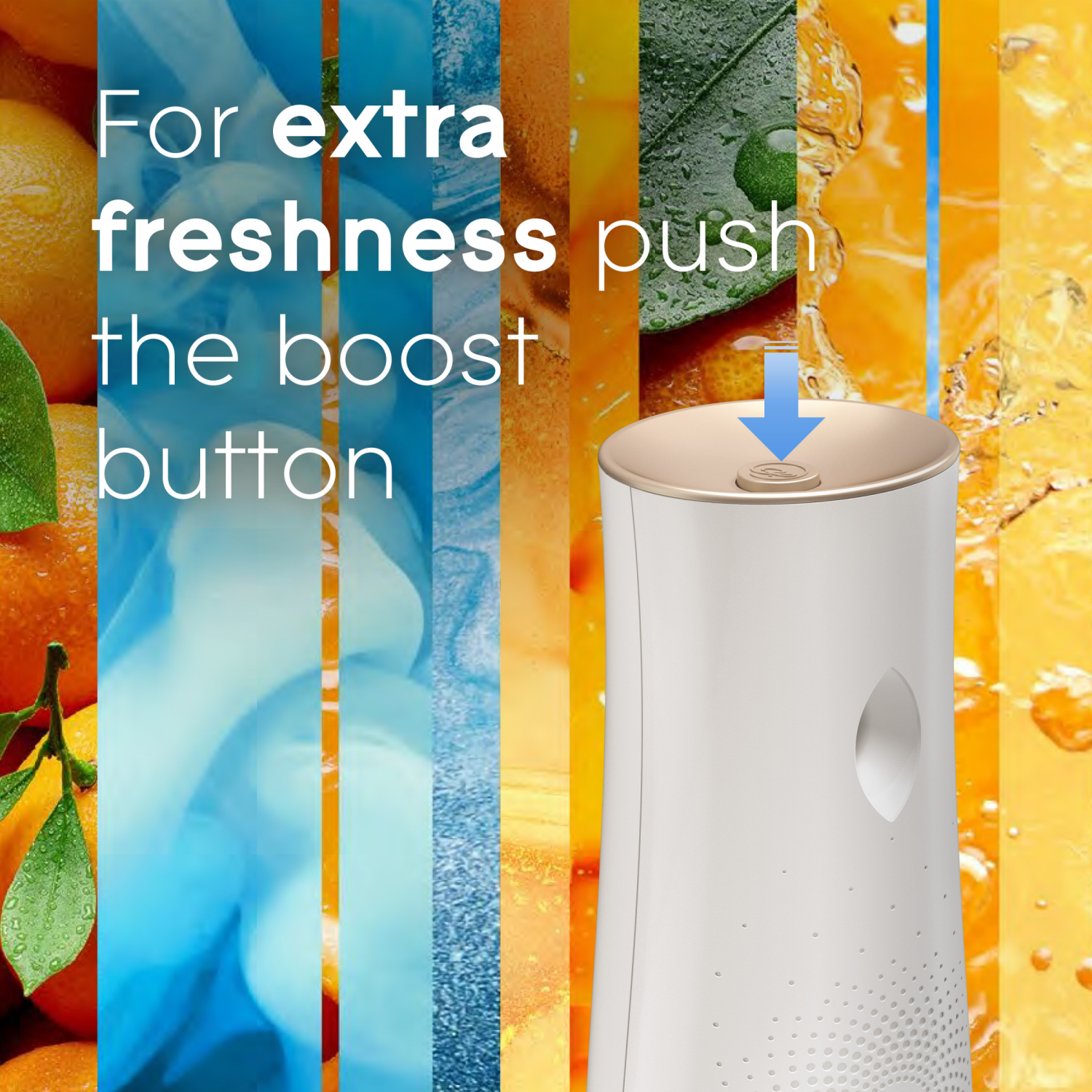 slide 6 of 8, Glade Value Pack Coastal Sunshine Citrus Automatic Spray Refill 2 - 6.2 oz Cans, 2 ct