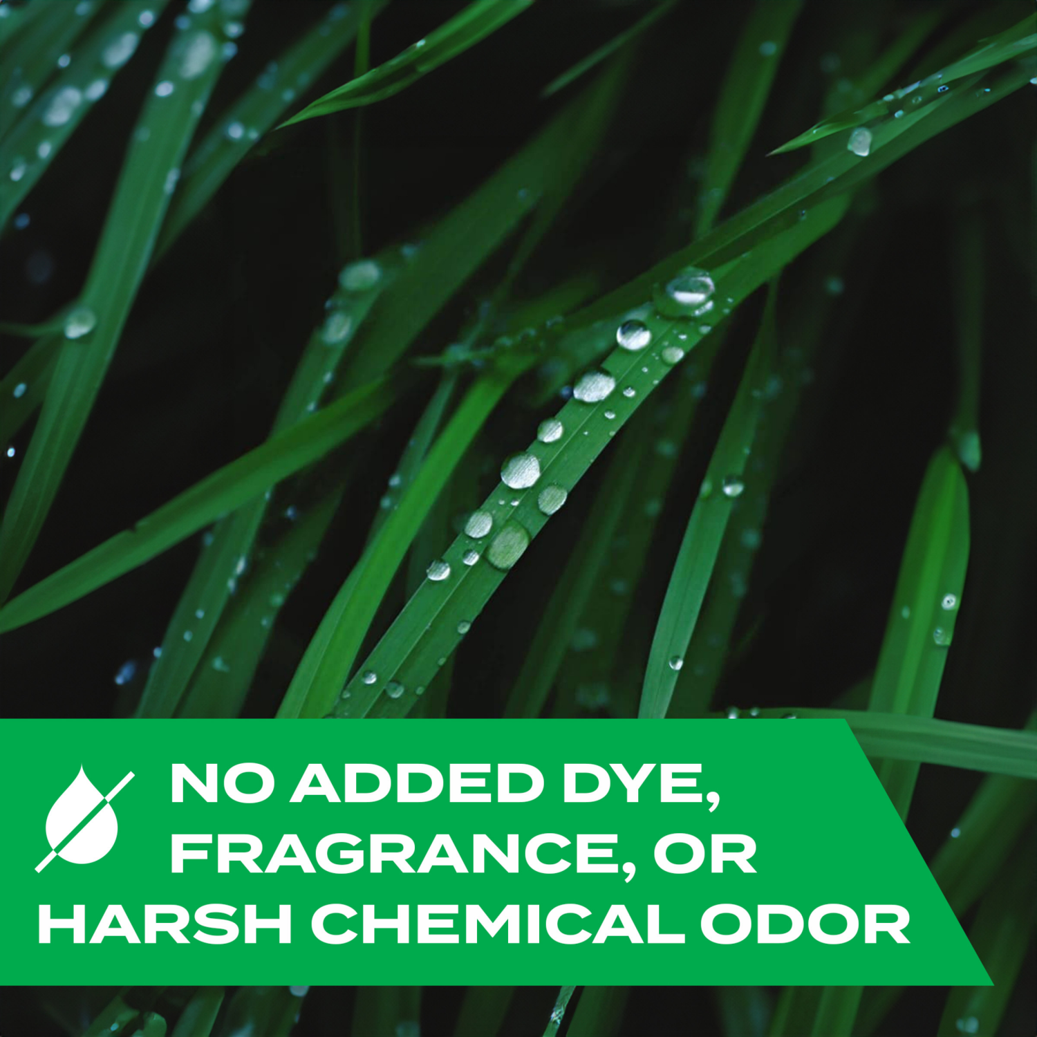 slide 3 of 8, STEM Kills Ants, Roaches and Spiders: Plant-Based In and Outdoor Bug Spray, 10 fl oz, 1 ct, 10 oz