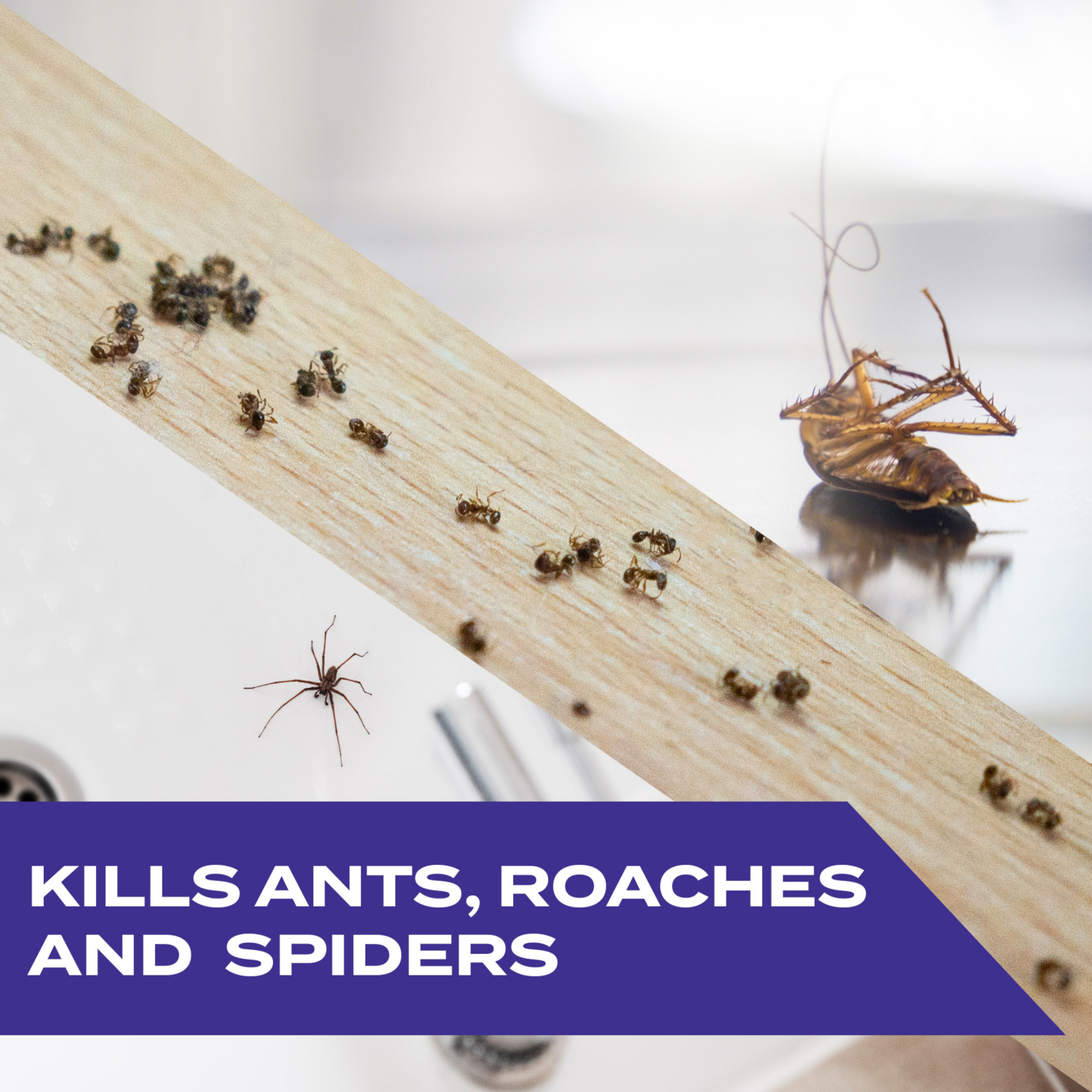 slide 4 of 8, STEM Kills Ants, Roaches and Spiders: Plant-Based In and Outdoor Bug Spray, 10 fl oz, 1 ct, 10 oz