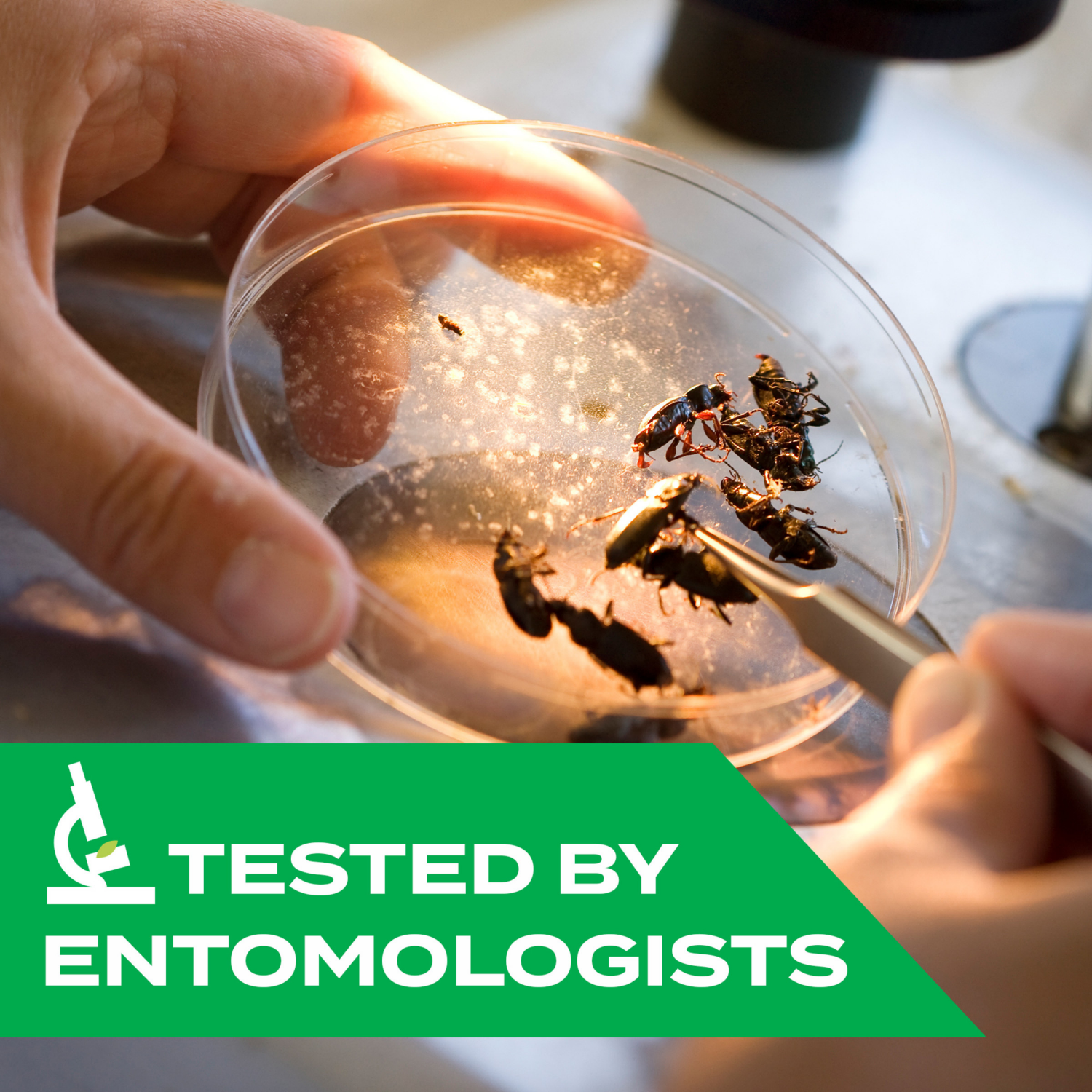 slide 6 of 8, STEM Kills Ants, Roaches and Spiders: Plant-Based In and Outdoor Bug Spray, 10 fl oz, 1 ct, 10 oz