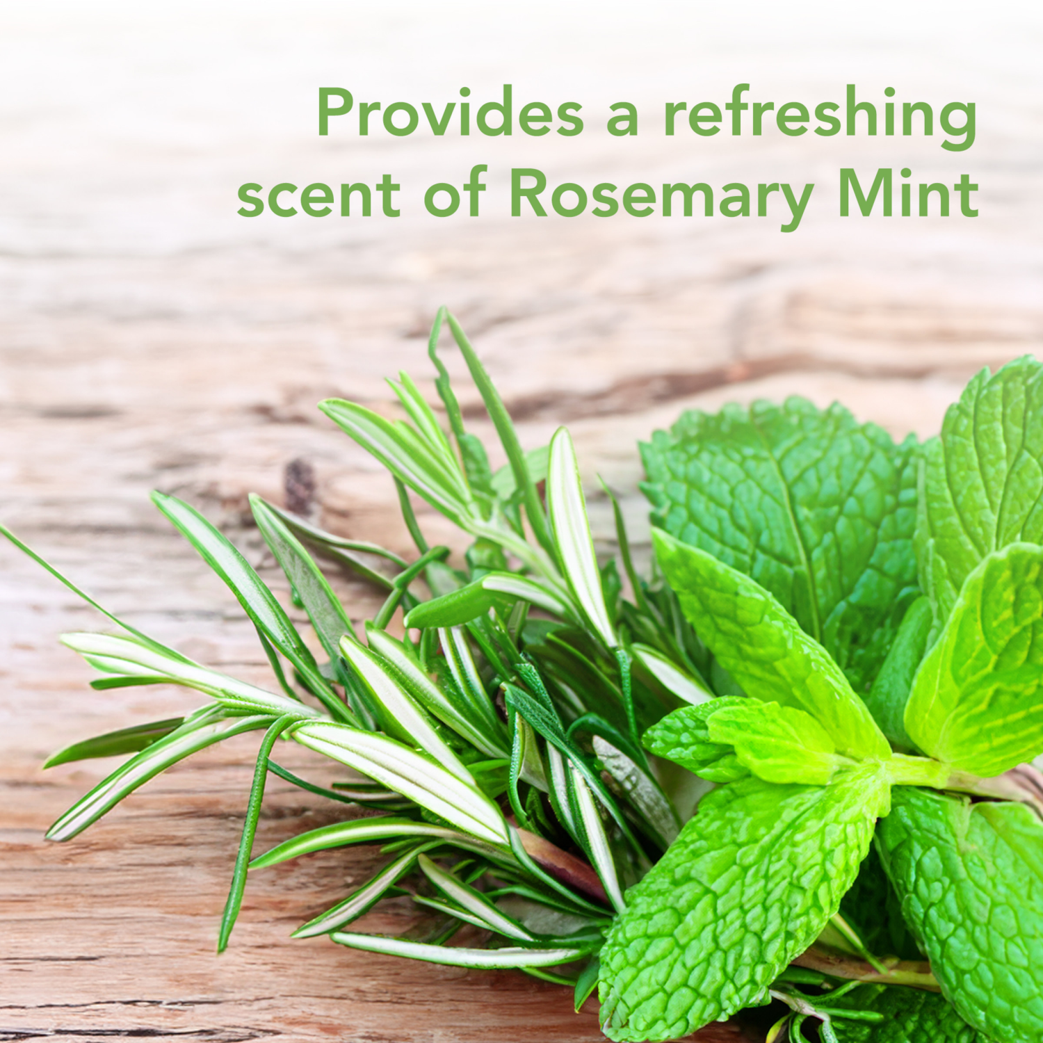 slide 3 of 8, Raid Essentials Rosemary MintSpider & Roach Killer 28 10 oz, 10 oz