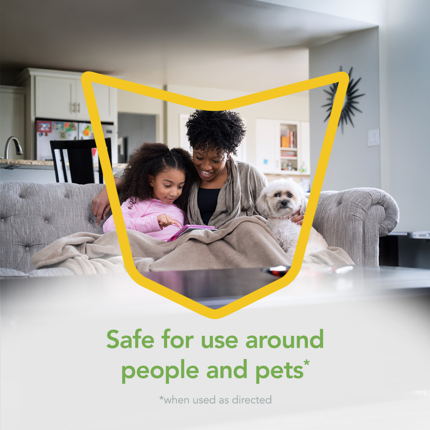 slide 4 of 8, Raid Essentials Rosemary MintSpider & Roach Killer 28 10 oz, 10 oz