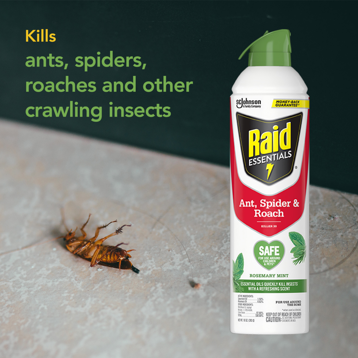 slide 6 of 8, Raid Essentials Rosemary MintSpider & Roach Killer 28 10 oz, 10 oz