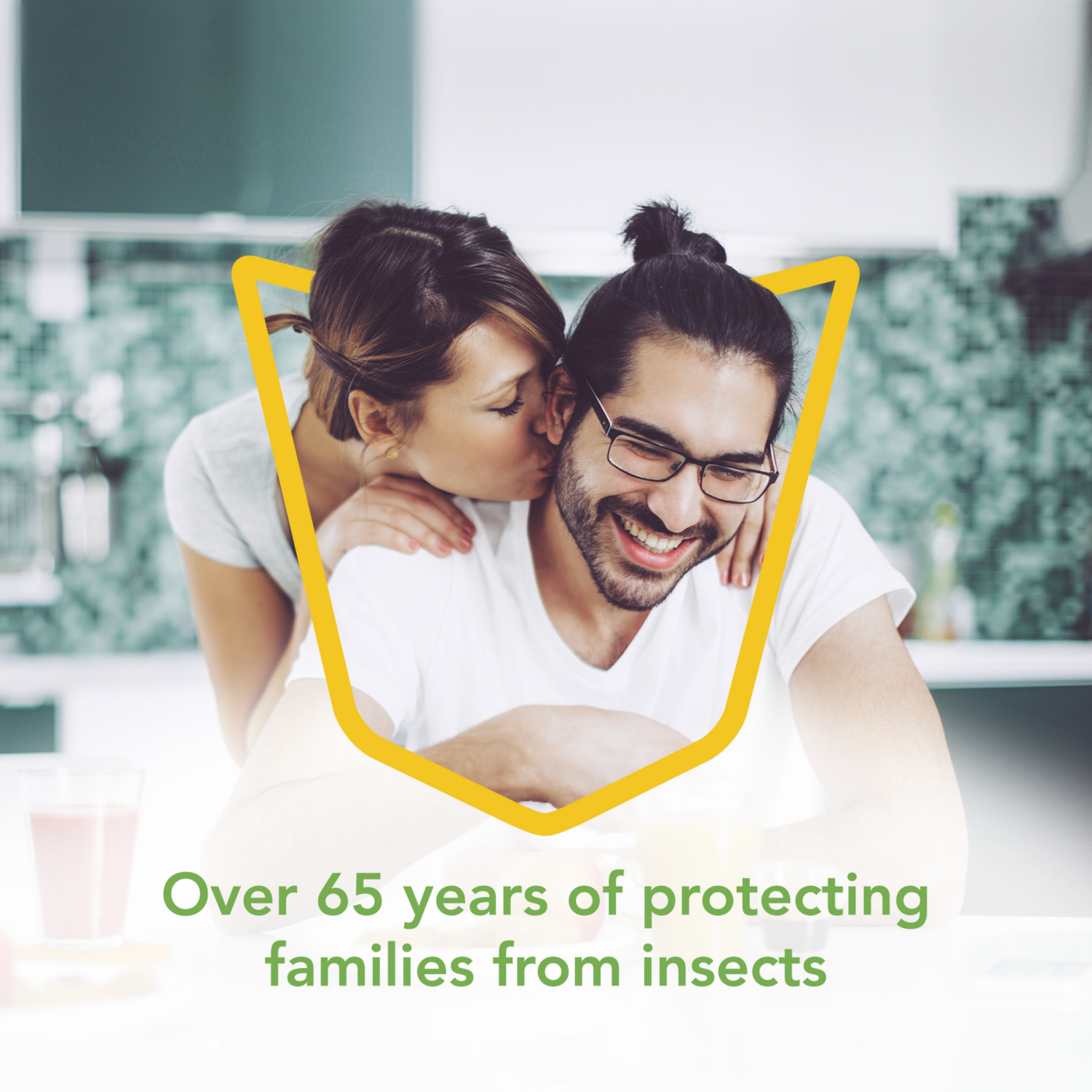 slide 8 of 8, Raid Essentials Rosemary MintSpider & Roach Killer 28 10 oz, 10 oz